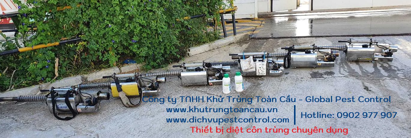 Quy trình làm việc Khử Trùng Toàn Cầu