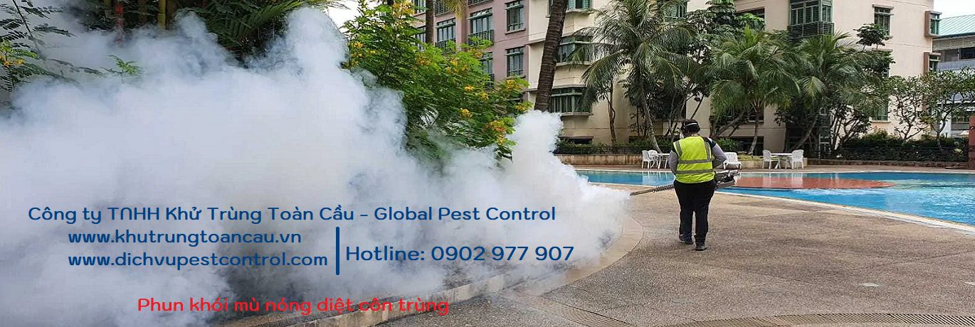 Dịch vụ diệt côn trùng Khử Trùng Toàn Cầu