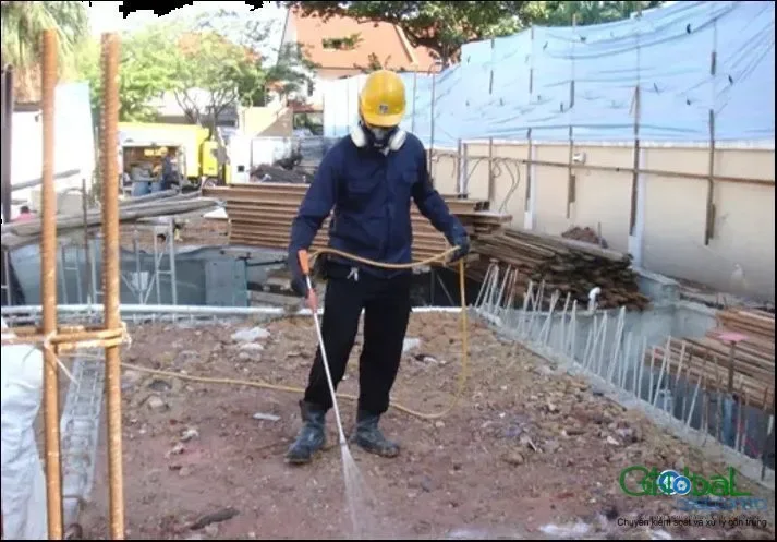 Trạm nhử hay phun thuốc: chọn cách xử lý mối theo tình huống