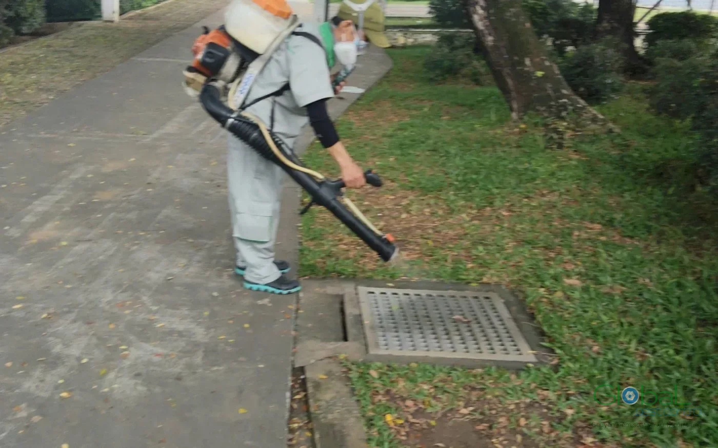 Kỹ thuật viên của công ty phun xử lý quanh hố ga và thảm cỏ trong khuôn viên