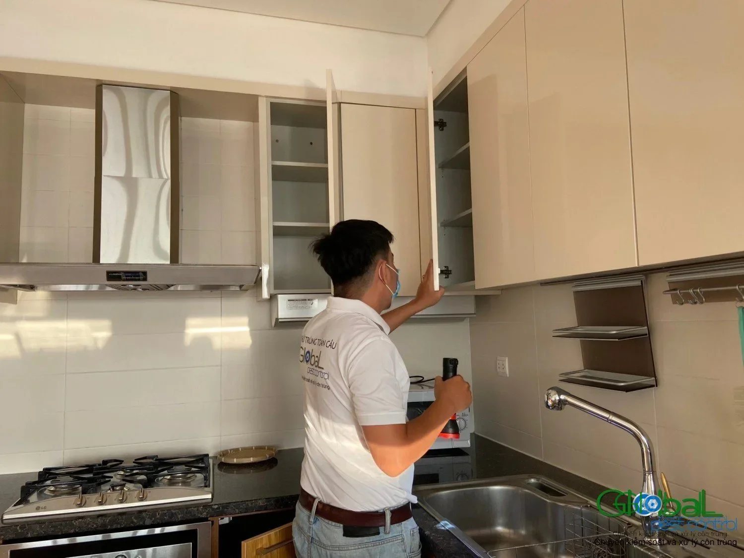 Mối nhà ở: dấu hiệu nào cần kỹ thuật viên đến khảo sát