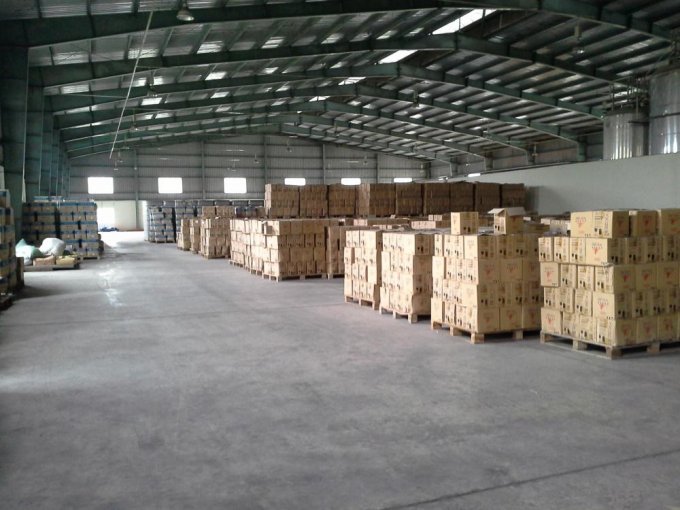 xử lý côn trùng kho bãi