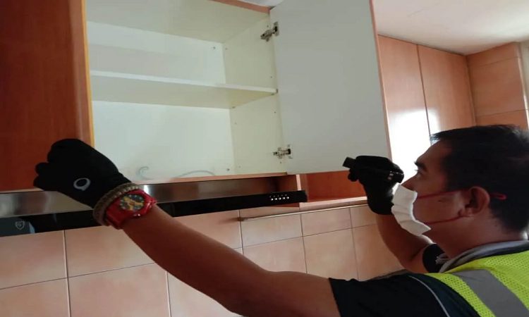 Dịch vụ pest control Khử trùng Toàn Cầu (2)