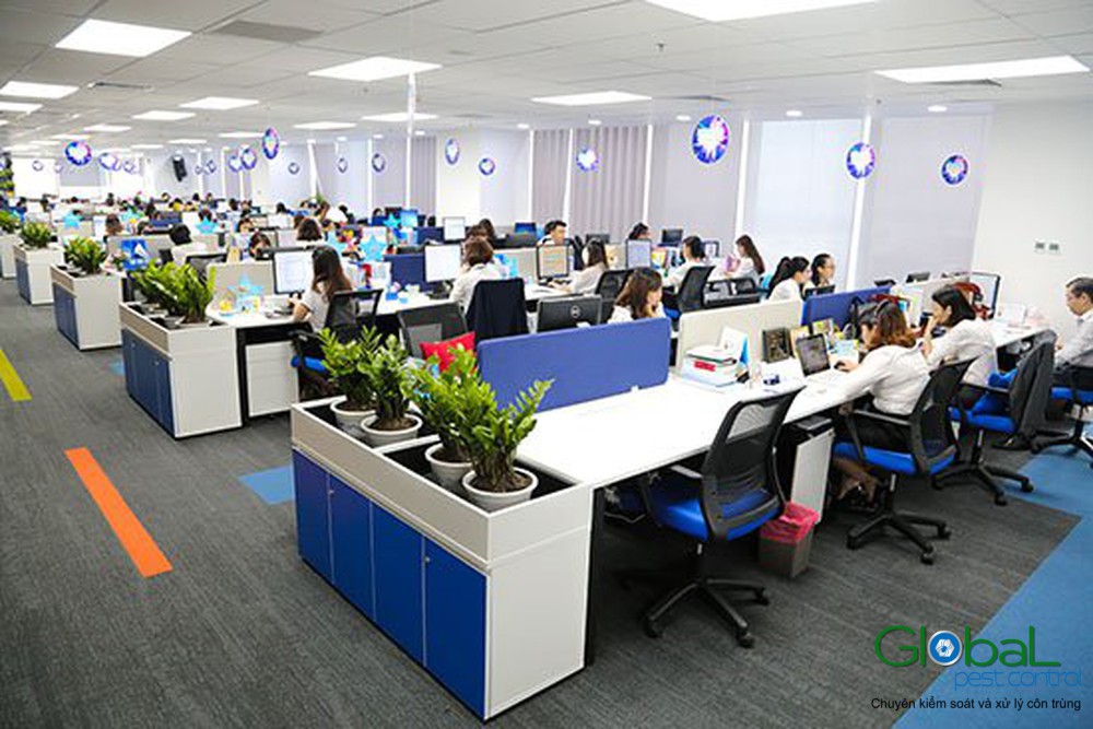 xử lý côn trùng tại văn phòng