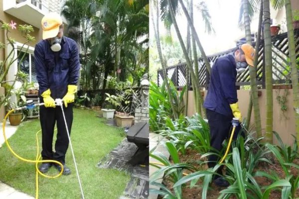 Kỹ thuật viên xử lý quanh sân vườn và chân tường một căn nhà ở
