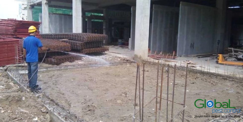xử lý đất trước khi xây dựng